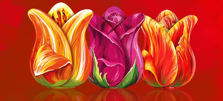 6. Poza 6 Produse Noi